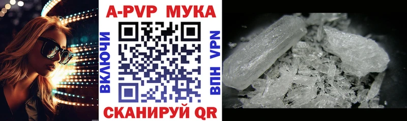 Купить закладки  Курчалой  A PVP крисы CK 