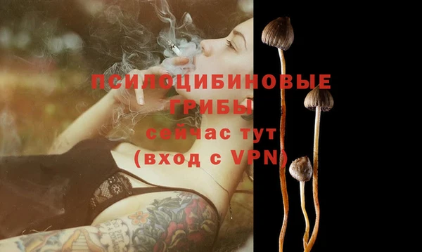 гашик Коряжма