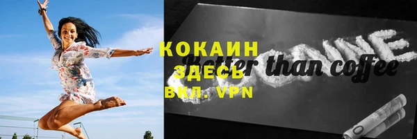 гашик Коряжма