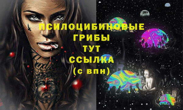 Альфа ПВП Корсаков