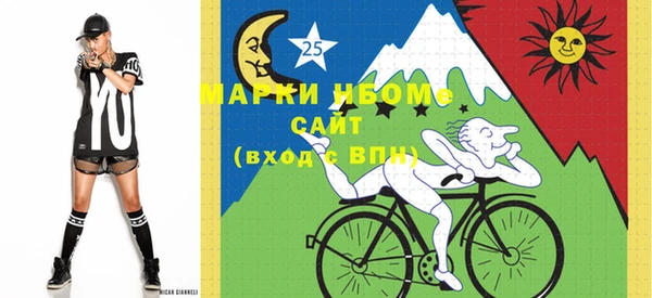 гашик Коряжма