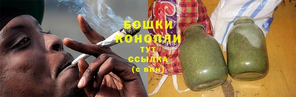 гашик Коряжма